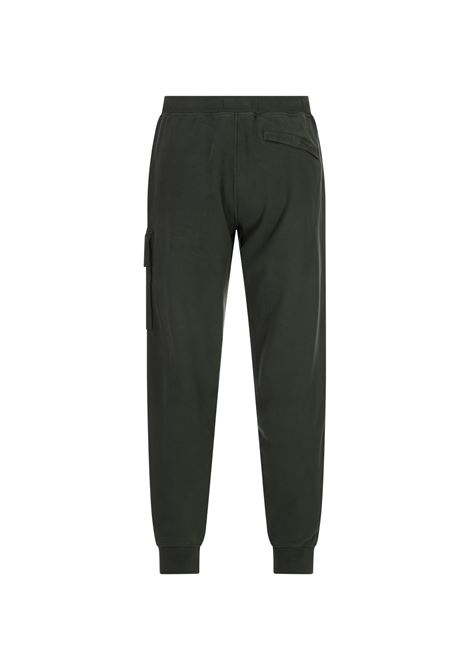 Joggers In Cotone Biologico Garzato Ginepro STONE ISLAND | S15-6200003 S0A20V005E